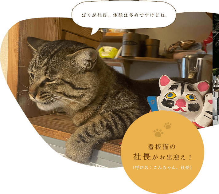 看板猫の社長がお出迎え！
